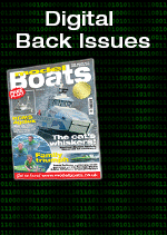 Model Boats Digital Back Issues