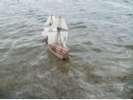 Mayflower on the water