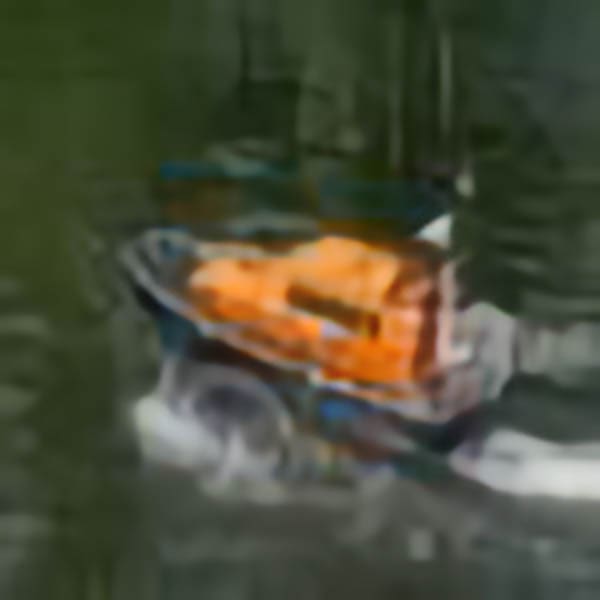 2010 International Model Lifeboat Rally