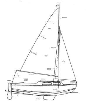 Lysander_300x350
