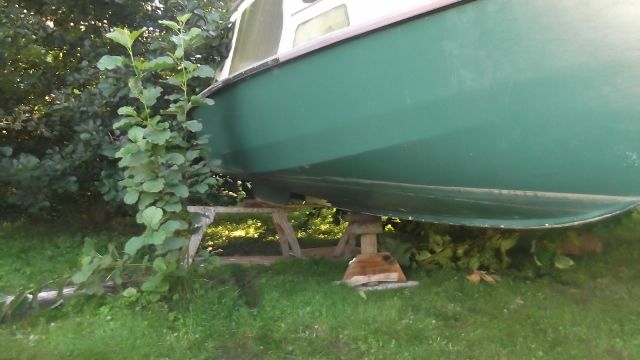 dscf6938 (640x360).jpg dscf6938 (640x360).jpg
