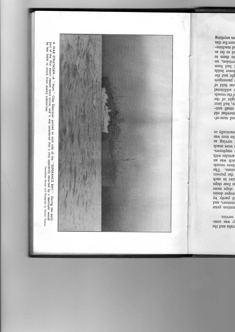 imgship camoflage 7008.jpg imgship camoflage 7008.jpg