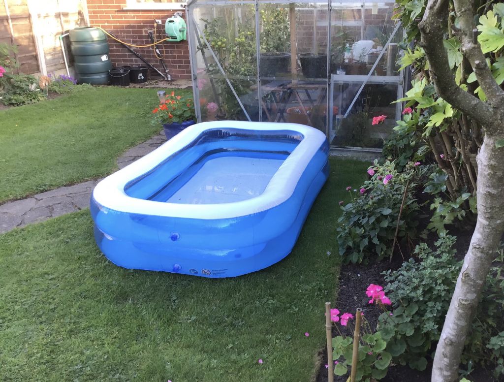 pond.jpg pond.jpg