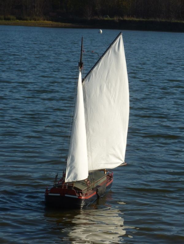 spider 217.jpg spider 217.jpg