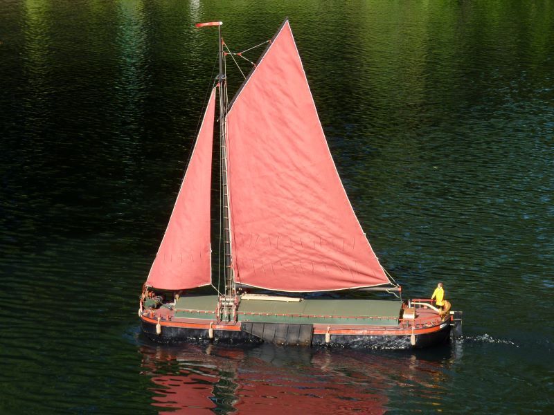 spider 263.jpg spider 263.jpg