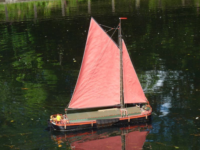 spider 266.jpg spider 266.jpg